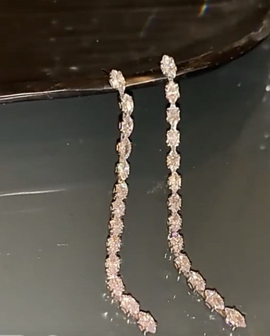 Long Tassel Zircon Earrings